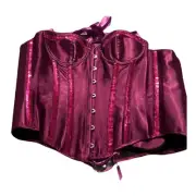 NWT Purple Sequin Corset and Panty Set