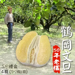 【鶴岡嚴選】老欉50年花蓮鶴岡特優文旦5斤禮盒4箱(5-7顆/箱)