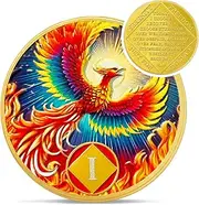 Sunlight Phoenix 1 Year Na Medallions - Reborn from Fire Sobriety Coin - Recovery Addiction NA AA Chips and Medallions - Celebrate Living Clean Affirmation Narcotics Anonymous Gifts for Men Women