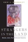 Strangers in the Land: Blacks, Jews, Post-Holocaust America by Eric J. Sundquist