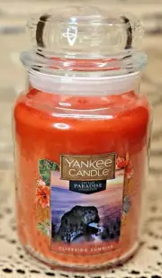 New Yankee Candle Large 22 oz Cliffside Sunrise The Last Paradise Collection