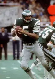 Quarterback Roman Gabriel Philadelphia Eagles drops back to pass - 1974 Photo 20