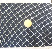 15' x 9' WHITE DIAMOND MESH NYLON GOLF HOCKEY BASEBALL SOFTBALL NETTING 1" #21