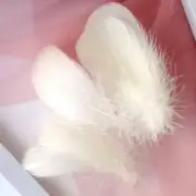 100 Pieces Beige Natural Goose Craft Feathers Bulk, 3-5Inch Colorful Small Feath