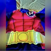 Robin ￼Costume