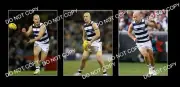 GARY ABLETT GEELONG FC 3 LARGE 8x6 ACTION PHOTOS