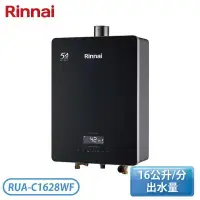 在飛比找環球Online優惠-【Rinnai 林內】16公升 屋內型強制排氣熱水器 RUA