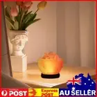Himalayan Salt Lamp LED Atmosphere Lamp with Base Classic Table Light
