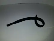 Velcro cable ties - Hook and loop fastener - 45 pieces per roll