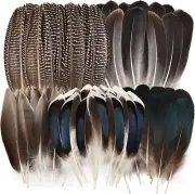 Pheasant Feathers -50Pcs 5 Style Natural Mixed Decorative Spotted Feathers for D