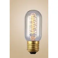 在飛比找蝦皮購物優惠-愛迪生燈泡復古燈泡T45 E27 40W 設計師的燈 復古藝