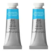2x Winsor & Newton 14ml Professional Watercolour Artist Paint Cerulean Blue S3