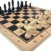 [NEW] 3-in-1 Wooden Chess, Checkers, and Backgammon Set – Portable Folding Board