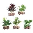 Wooden Flower Pot Artificial Plants Bonsai Desktop Decor
