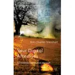 YOUR DIGITAL AFTERLIVES: COMPUTATIONAL THEORIES OF LIFE AFTER DEATH