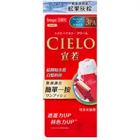 在飛比找蝦皮商城優惠-CIELO 宣若EX染髮霜3PA松果灰棕