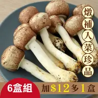 在飛比找台灣好農優惠-(早鳥優惠) (6盒)草屯有機巴西蘑菇-全素