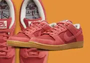 Nike SB Dunk Low Adobe (DV5429-600) US9 Brand New In Box - Cheap Everyday Shoe
