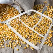 Corn Peanut Sieve Scoops Large Farm-oriented Shovel Soil Digging Tool