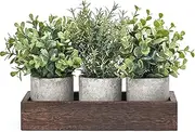 Dahey 3 Pack Mini Potted Artificial Eucalyptus Fake Plants with Wood Tray Centerpiece Table Decorations, Farmhouse Pulp Flower Pots Greenery Home Decor for Coffee Table Dining Room Office Kitchen
