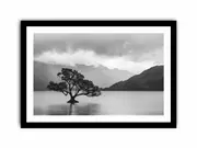 Isolated Tree Canvas Print