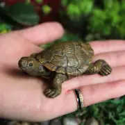 Landscape Turtle Statue Hand-crafted Collectible Mini Turtle Figurine Statue