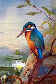 Wildlife Bird Art Colorful Ceramic Mural Backsplash Bath Tile #2236