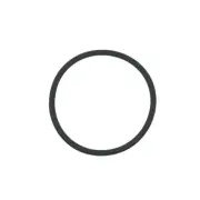 CS8231 Intex Krystal Clear Replacement O-Ring C Gasket Seal for Swimming Pool