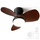 Ceiling Fan with Light and Remote 24 Inch Small Reversible for Bedroom Black-Woo