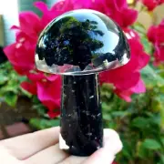 Shungite orgone resin mushroom natural Crystal Healing Larger Gemstone
