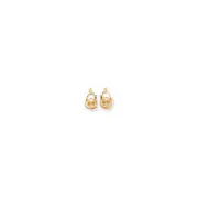 14k Yellow Gold Dia & FWCP Earrings