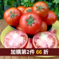 在飛比找台灣好農優惠-大崗山下有機牛番茄6台斤-產地出貨
