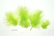 Marabou Feathers Small 1-3" fluffs LIME GREEN 7 grams approx. 105 per bag