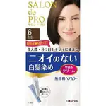 [哈日小丸子]日本DARIYA沙龍級染髮劑-6號