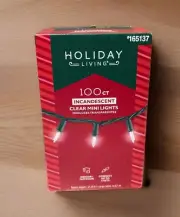 HOLIDAY LIVING 100 Ct. Mini Christmas Lights Clear Incandescent Green Wire