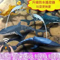 在飛比找蝦皮購物優惠-6H出貨 搖擺電動魚遙控鯊魚 藍鯨魚仿真動物 陞級防水遙控+