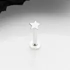 14 Karat White Gold Flat Star Top Threadless Push-In Flat Back Stud Labret