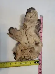 Natural Driftwood Piece Aquarium Terrarium Reptile Tank Decor Craft Display