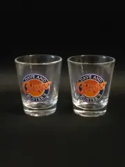 Pair Of (2) Dave And Buster's Chicago Shot Glasses