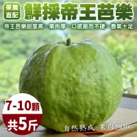 在飛比找PChome24h購物優惠-【果農直配】台灣嚴選帝王芭樂(5斤/箱)