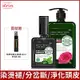 arin氧潤 毛躁分岔&淨毛穴 雙雙組(玫瑰柔順修護洗髮精520ml+酷樂頭皮止癢液120ml)