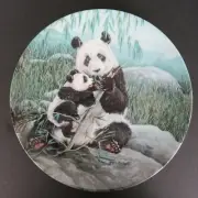 MIB Secret World Of Panda Baby Cub A Mother's Care Collectors Plate Bradford COA