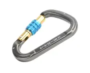 Xinda Climbing Carabiner Safety Buckle Quick Hanging D?Type Screw Main Lock Outdoor Kits Silver