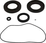 Moose Racing Differential Seal Kit for 2017 Arctic Cat VLX 700 ATV