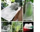 Fruit Vegetable Garden Pest Control Bug Insect Bird Mesh Net Protection Bags