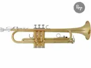 Rmze Professional Gold Edition -1 Bb Trumpet including Hardcase