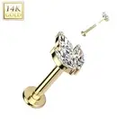 Piercing Labret Ear Yellow Gold 14 Gold Sheet