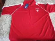 Size L Large SYDNEY SWANS AFL POLO AFL Official AFL