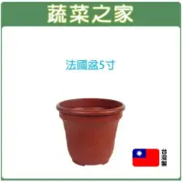 在飛比找momo購物網優惠-【蔬菜之家】法國盆5寸(歐洲盆 花盆 花槽 栽培盆 種植盆 