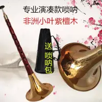 在飛比找樂天市場購物網優惠-樂器嗩吶 非洲小葉紫檀舞臺演奏嗩吶GACD降BEF調送免修哨